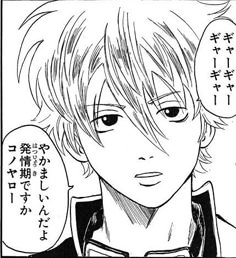 ギャーギャーギャーギャー　やかましいんだよ発情期ですかコノヤロー