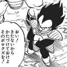 おい!きたないからかたづけておけよ そのボロクズを!